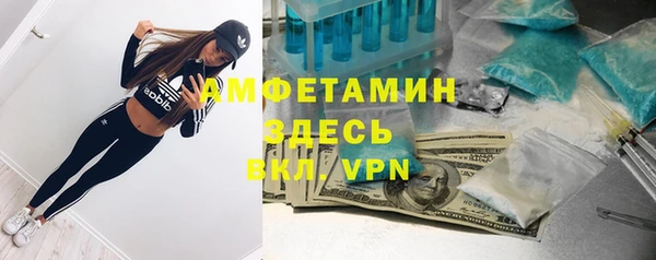 гашик Вяземский