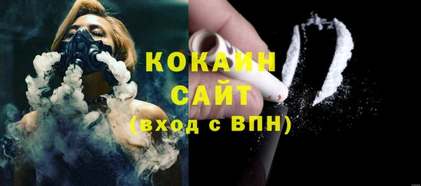 гашик Вяземский