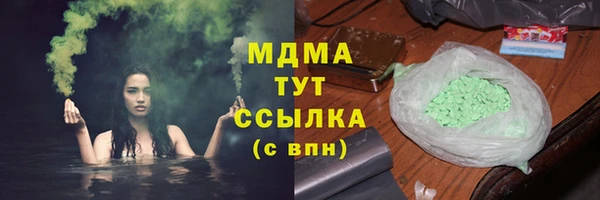 гашик Вяземский