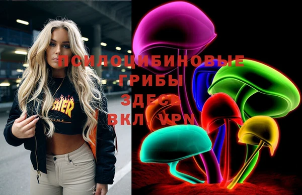 гашик Вяземский