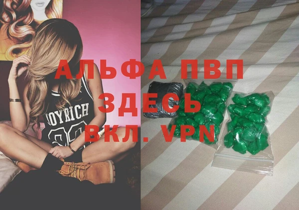гашик Вяземский