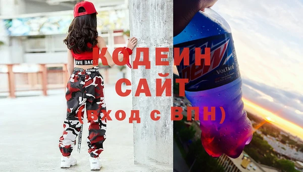 гашик Вяземский