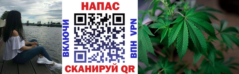 Каннабис VHQ  Ногинск 